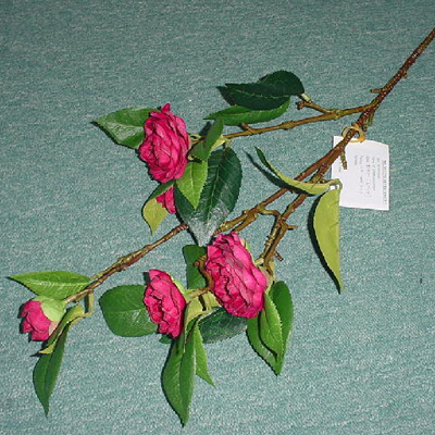 IMAGE_DESC_TAG