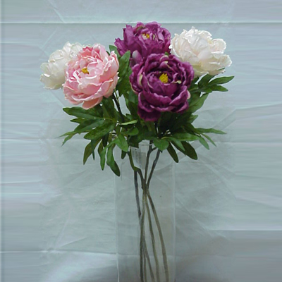 IMAGE_DESC_TAG