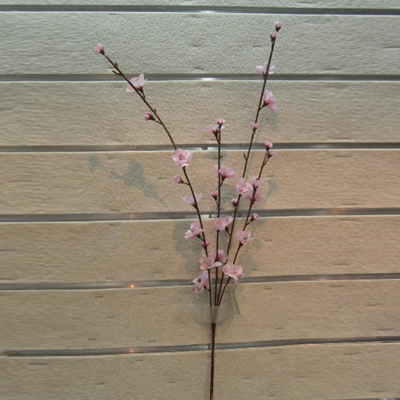 IMAGE_DESC_TAG